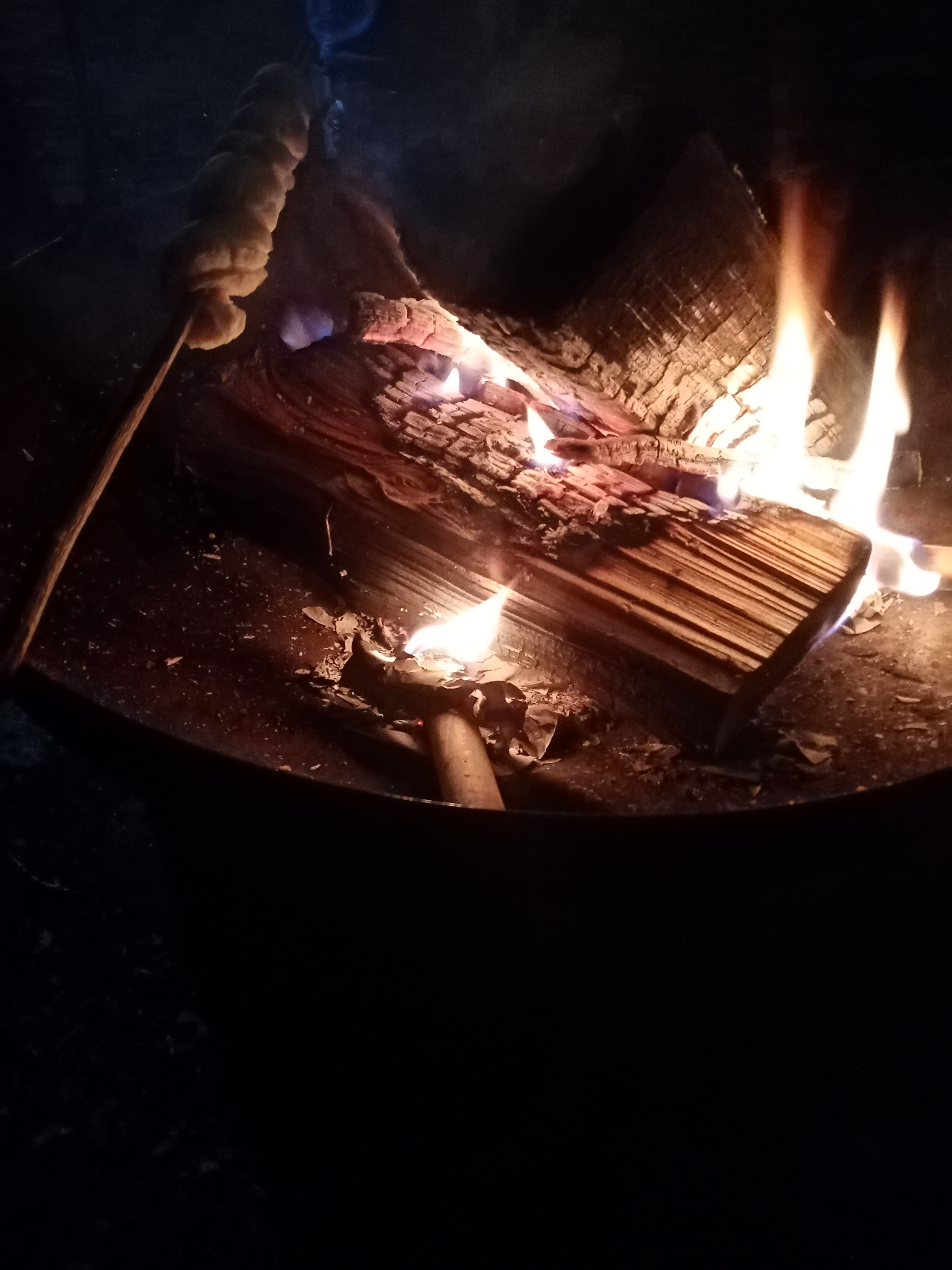 Fackelwanderung und Fasnachtsfeuer der Jugendgruppe