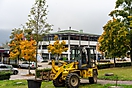 Neue Bäume im Pfarrgarten