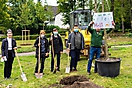 Neue Bäume im Pfarrgarten