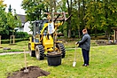 Neue Bäume im Pfarrgarten