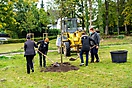 Neue Bäume im Pfarrgarten