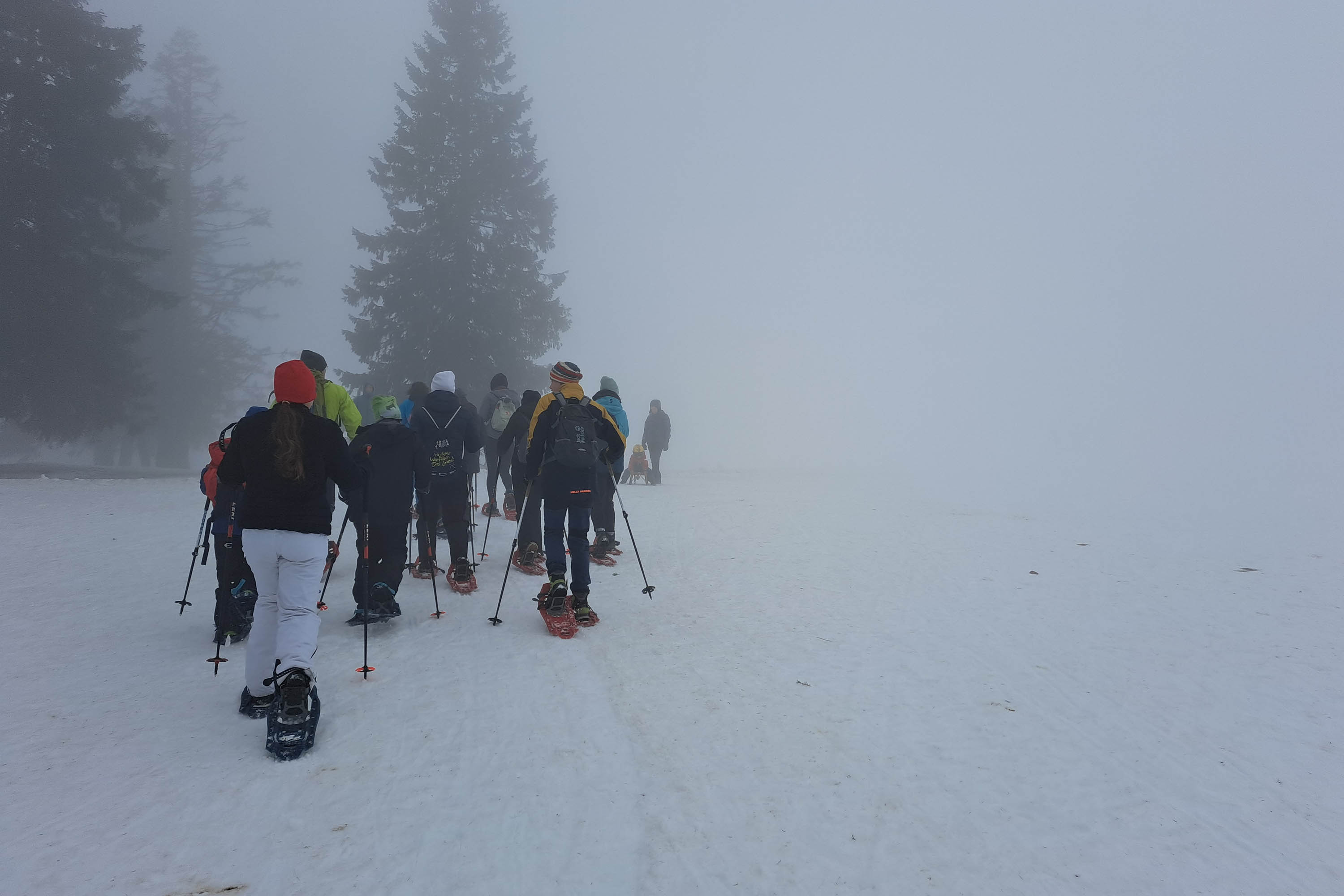 Schneeschuhlaufen auf dem Feldberg