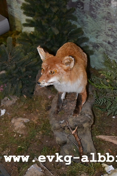 DSC_0037